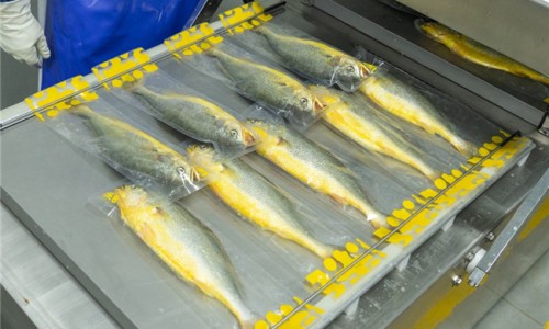 一米八3·15发布品控报告：严守大黄鱼质量标准，品控捍卫权益